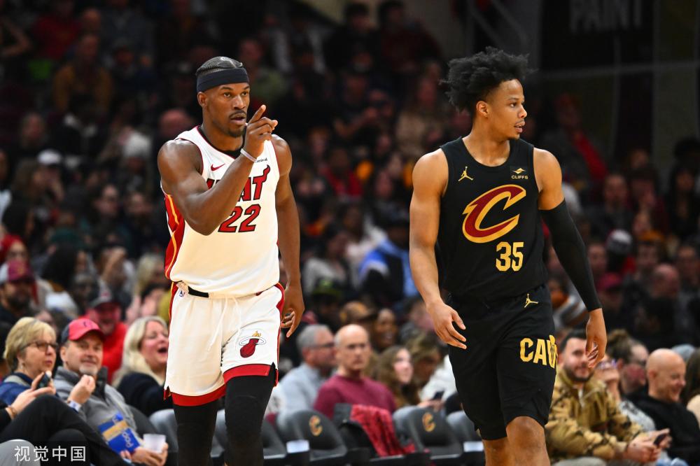 们提供了一 们提供了一