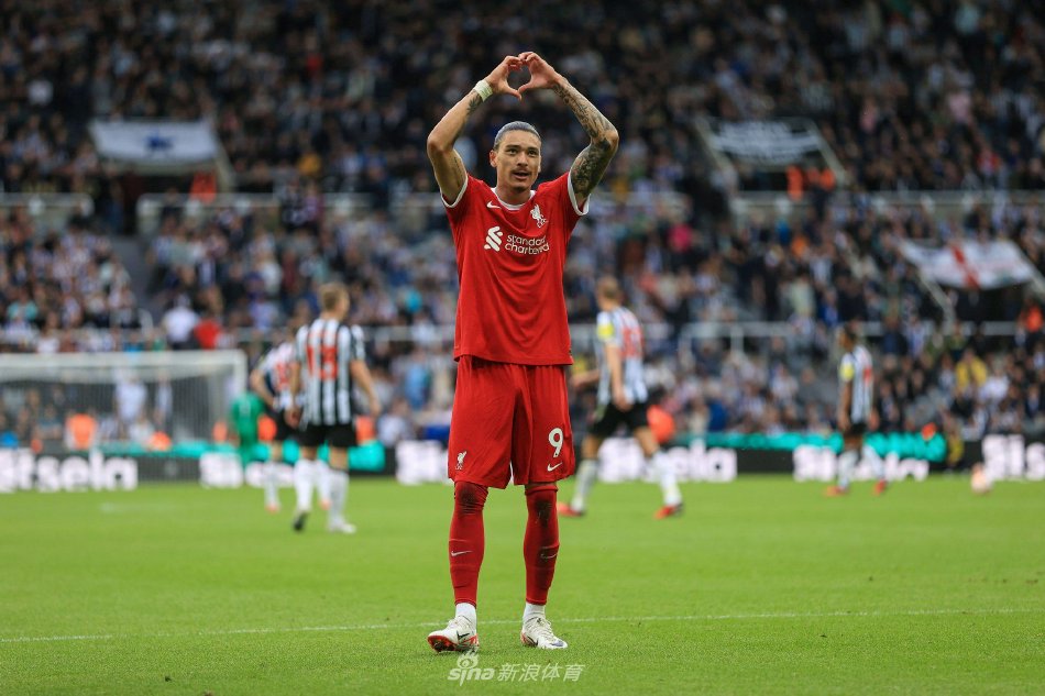 他们能否在 他们能否在