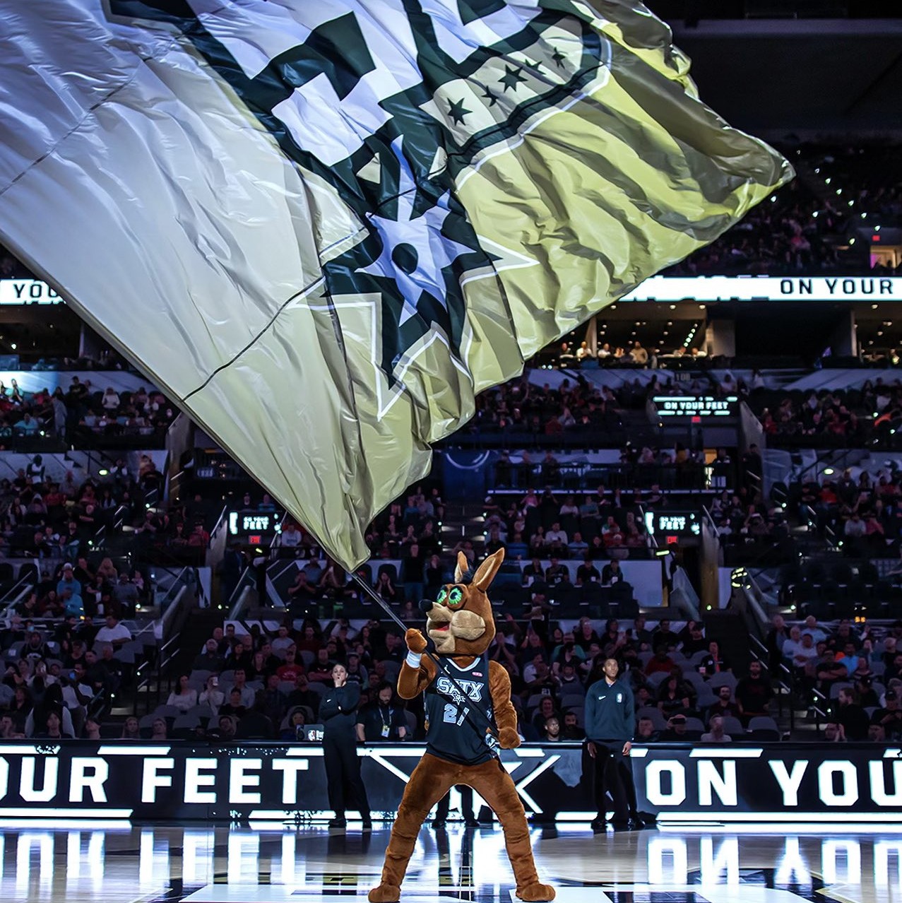 出现在全明 出现在全明